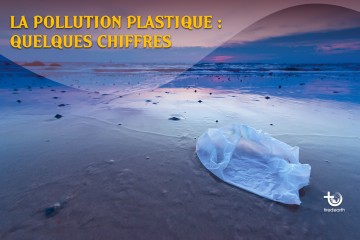 La pollution plastique : quelques chiffres